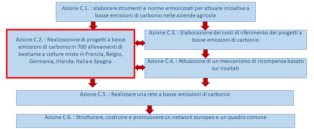 azioni previste nel progetto